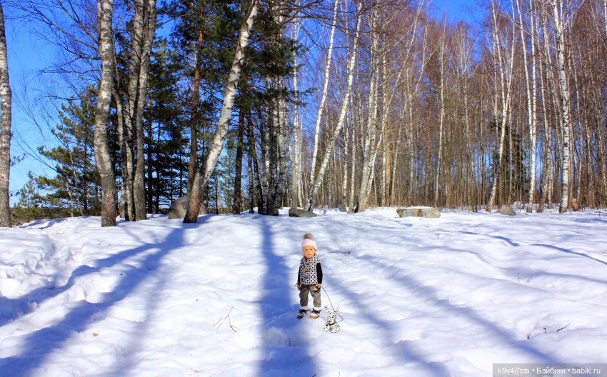 Мартовский день в "Саду камней"
