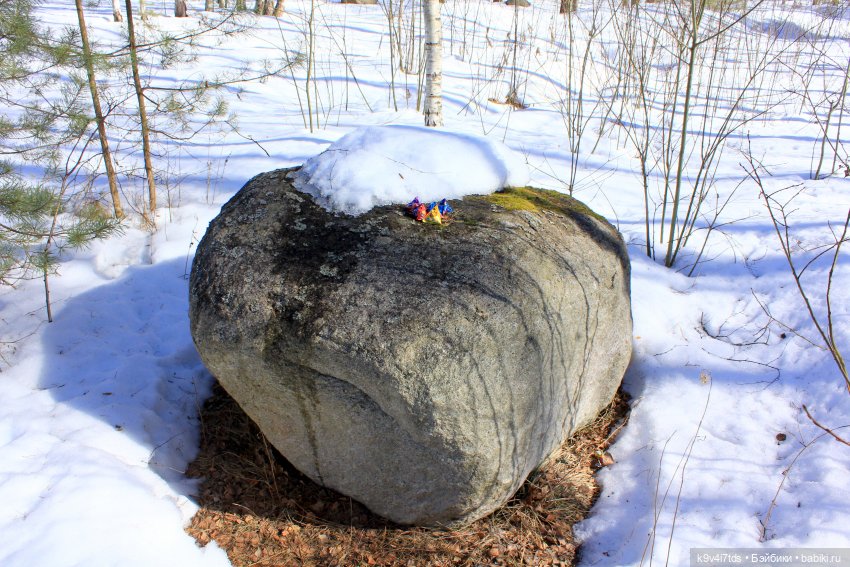 Мартовский день в "Саду камней"