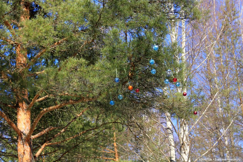 Мартовский день в "Саду камней"