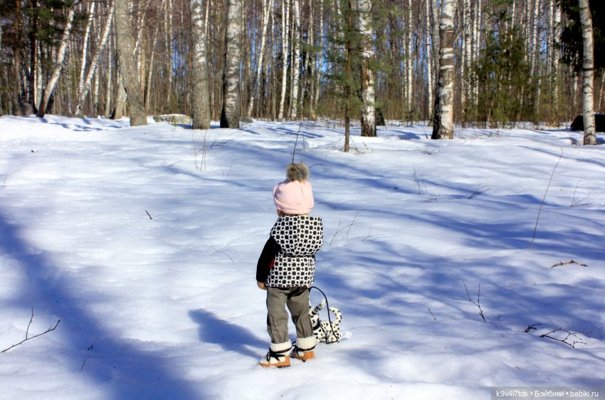 Мартовский день в "Саду камней"