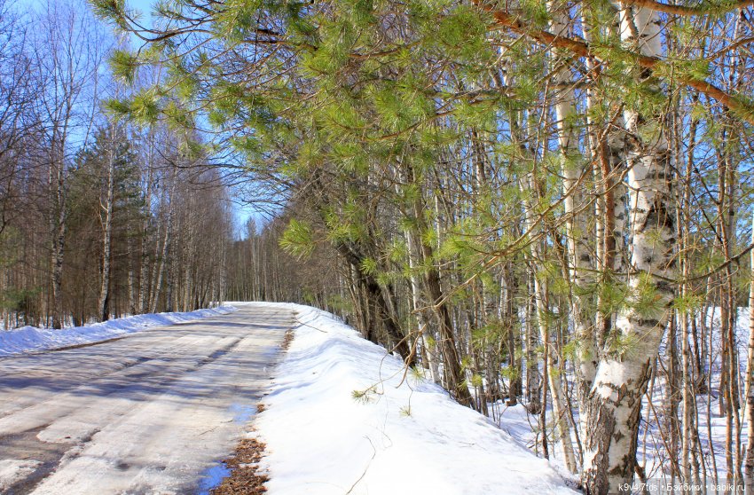Мартовский день в "Саду камней" (фото 6)