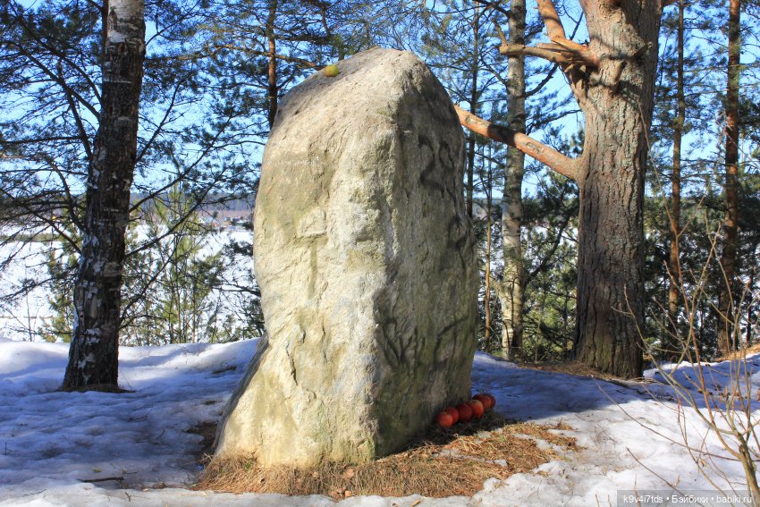 Мартовский день в "Саду камней" (фото 9)