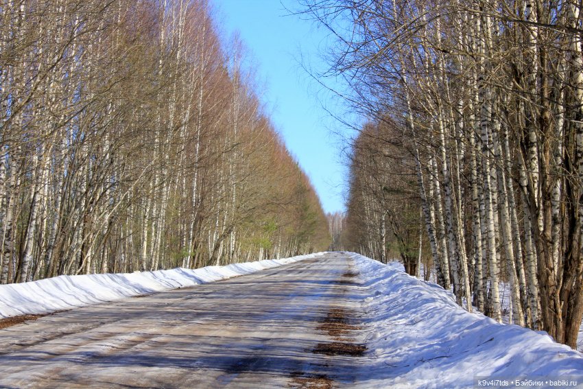 Мартовский день в "Саду камней"