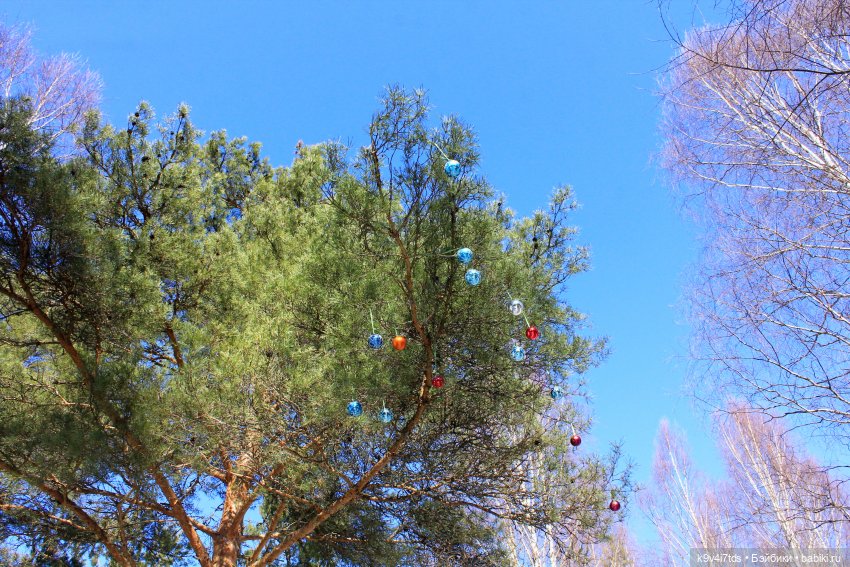 Мартовский день в "Саду камней"