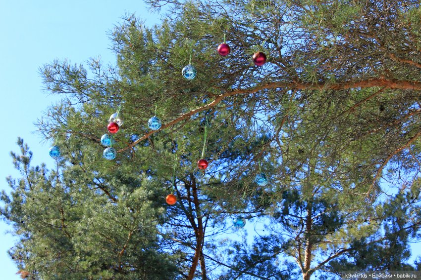 Мартовский день в "Саду камней" (фото 8)