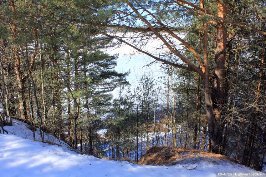 Мартовский день в "Саду камней"