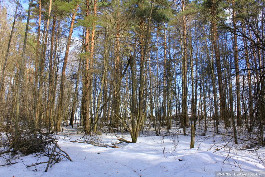 Дыхание Весны — Куклы Irrealdoll (Ирреалдолл): BJD (БЖД) (фото 9)