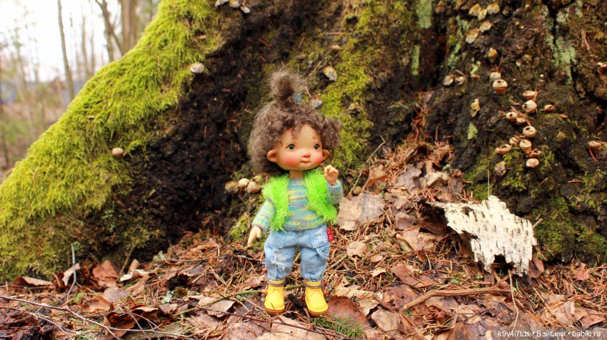 Где живут Эльфы | Бэйбики Где живут Эльфы — Куклы Irrealdoll (Ирреалдолл): BJD (БЖД)