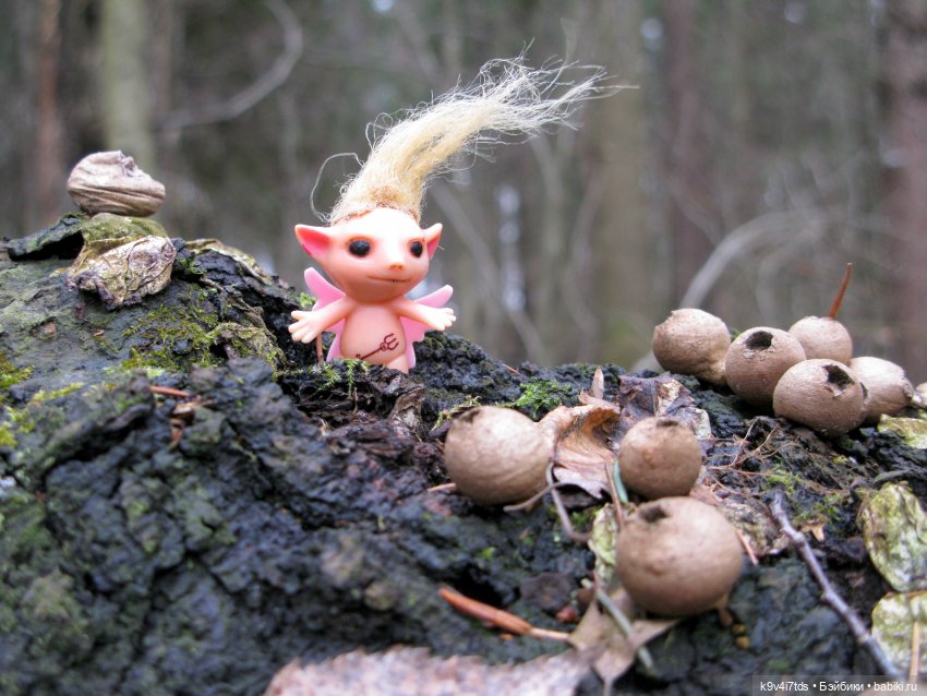 Где живут Эльфы | Бэйбики Где живут Эльфы — Куклы Irrealdoll (Ирреалдолл): BJD (БЖД) (фото 9)