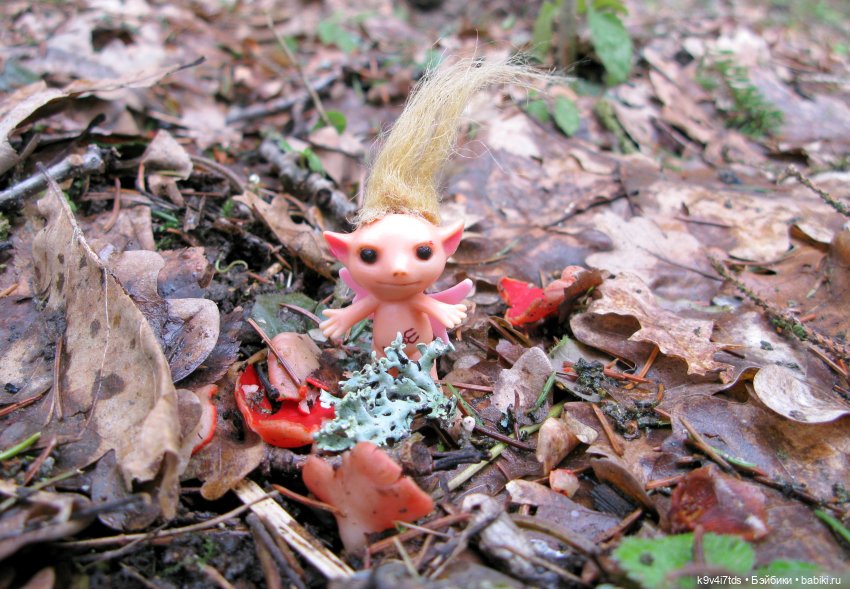 Где живут Эльфы | Бэйбики Где живут Эльфы — Куклы Irrealdoll (Ирреалдолл): BJD (БЖД) (фото 6)