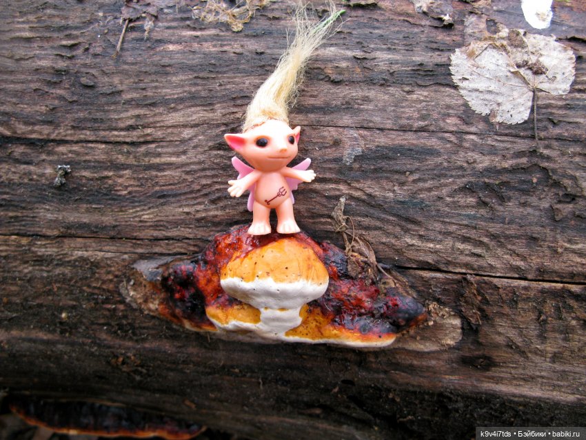 Где живут Эльфы | Бэйбики Где живут Эльфы — Куклы Irrealdoll (Ирреалдолл): BJD (БЖД)