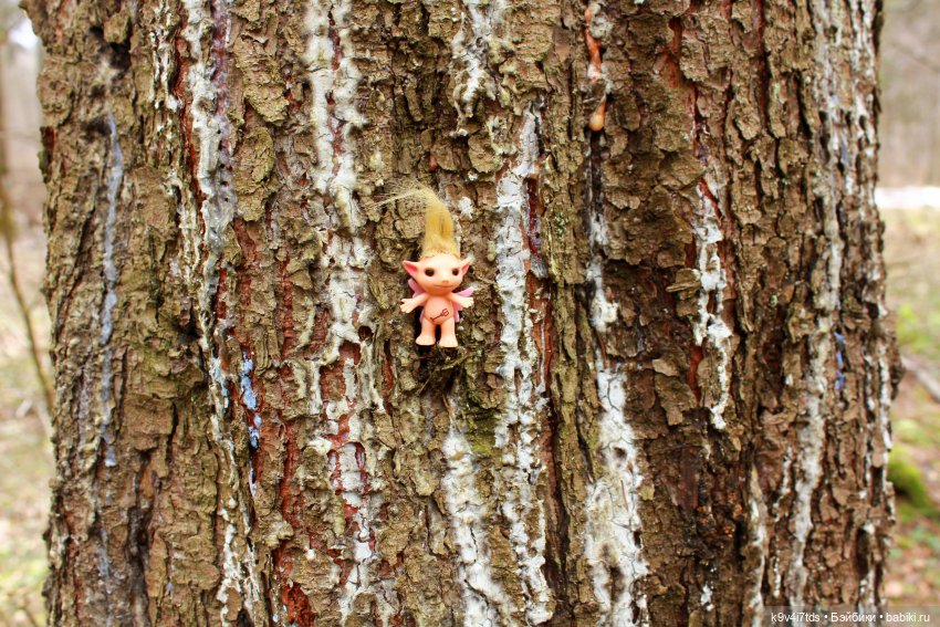 Где живут Эльфы | Бэйбики Где живут Эльфы — Куклы Irrealdoll (Ирреалдолл): BJD (БЖД)