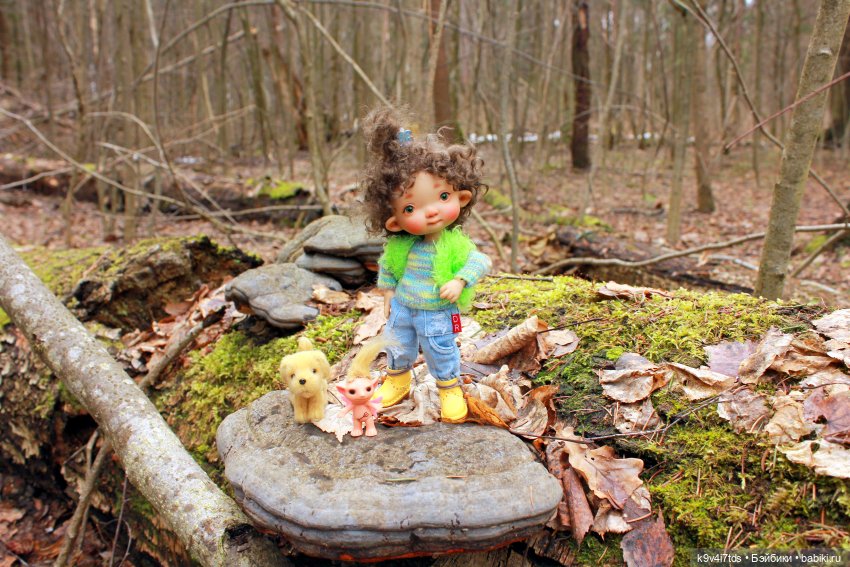 Где живут Эльфы | Бэйбики Где живут Эльфы — Куклы Irrealdoll (Ирреалдолл): BJD (БЖД)