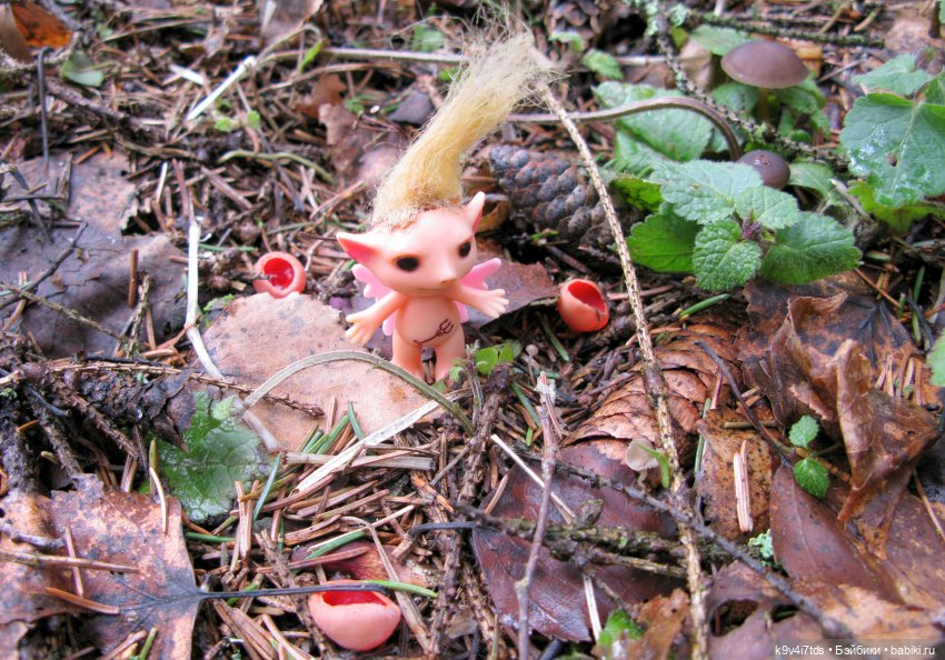Где живут Эльфы | Бэйбики Где живут Эльфы — Куклы Irrealdoll (Ирреалдолл): BJD (БЖД)