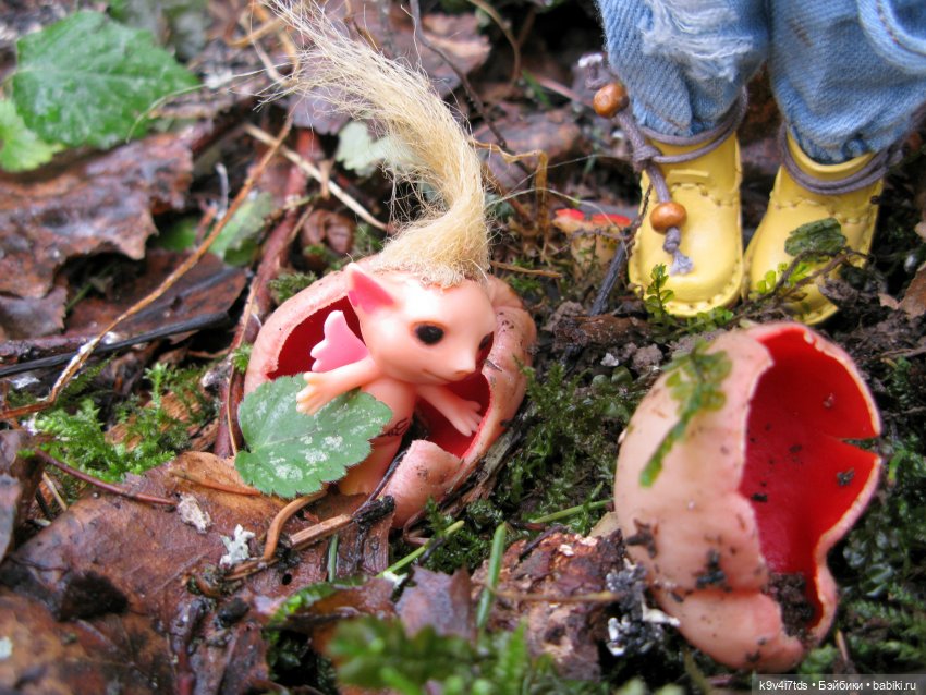 Где живут Эльфы | Бэйбики Где живут Эльфы — Куклы Irrealdoll (Ирреалдолл): BJD (БЖД)