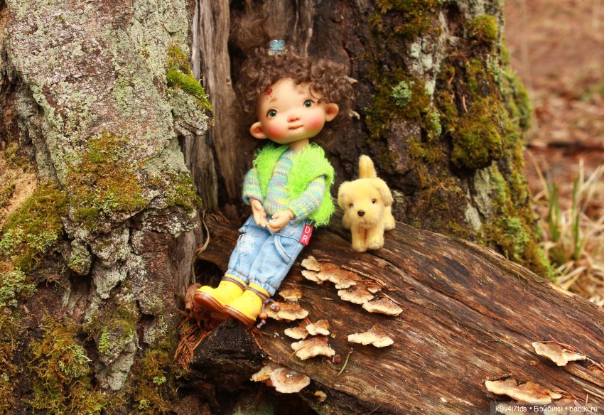 Где живут Эльфы | Бэйбики Где живут Эльфы — Куклы Irrealdoll (Ирреалдолл): BJD (БЖД) (фото 2)