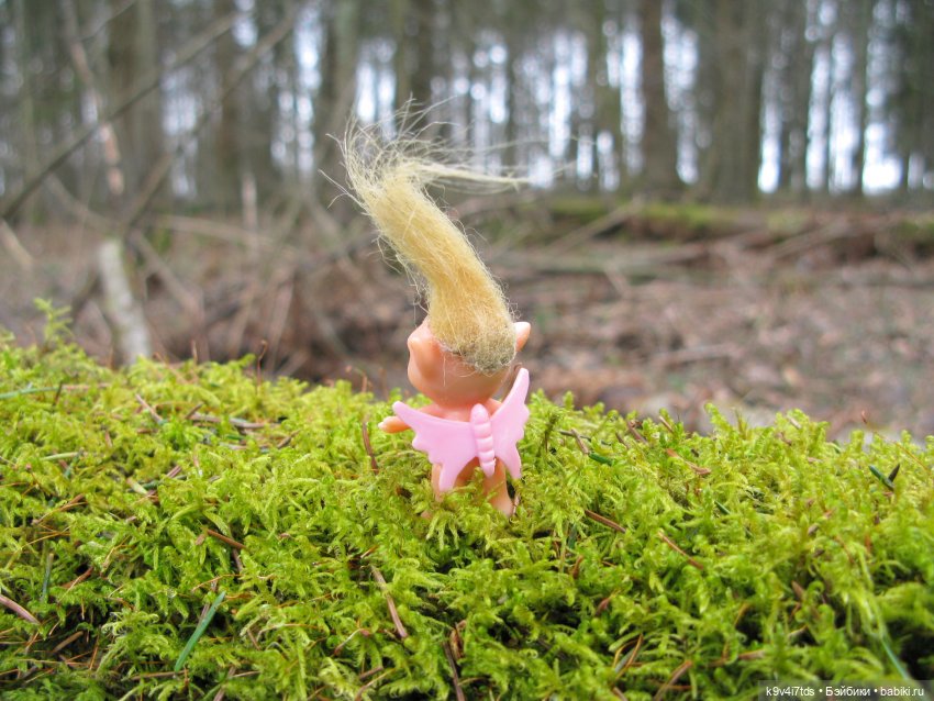 Где живут Эльфы | Бэйбики Где живут Эльфы — Куклы Irrealdoll (Ирреалдолл): BJD (БЖД) (фото 7)