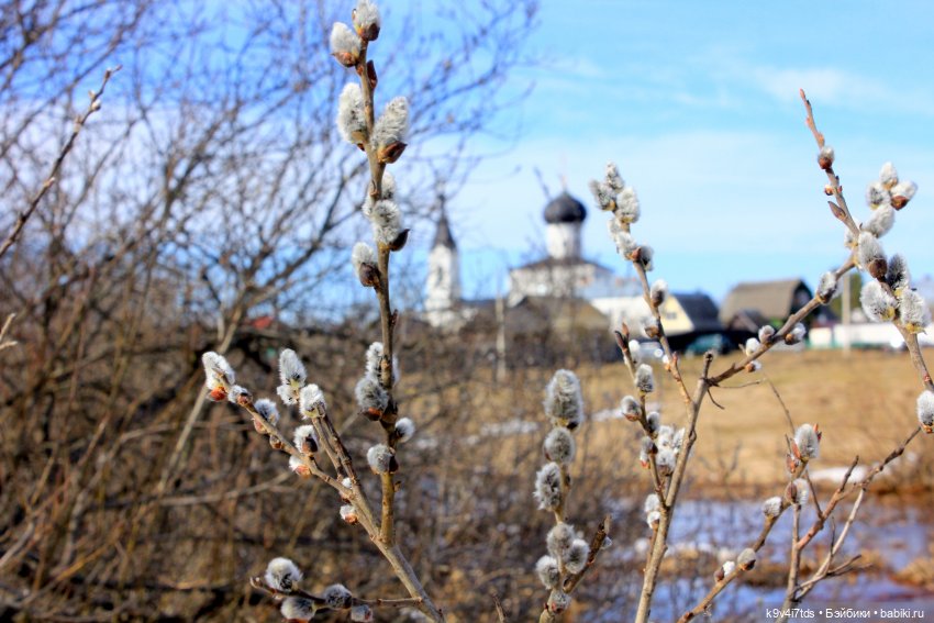 Где живут Эльфы — Куклы Irrealdoll (Ирреалдолл): BJD (БЖД)