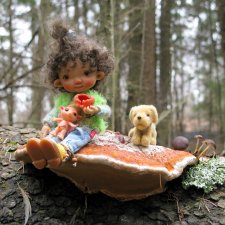 Где живут Эльфы?