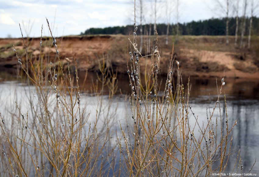 Ирискина Весна — Куклы Irrealdoll (Ирреалдолл): BJD (БЖД)