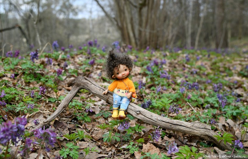 Ирискина Весна — Куклы Irrealdoll (Ирреалдолл): BJD (БЖД) (фото 7)