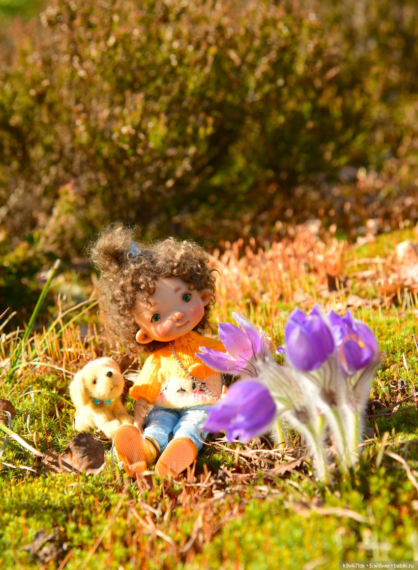 Лиловый Сон — Куклы Irrealdoll (Ирреалдолл): BJD (БЖД) (фото 7)