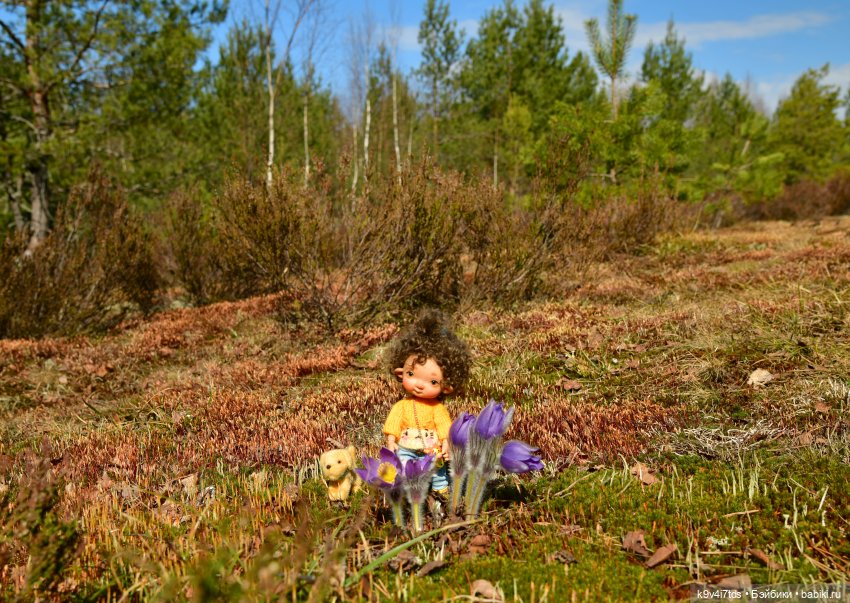 Лиловый Сон — Куклы Irrealdoll (Ирреалдолл): BJD (БЖД) (фото 6)