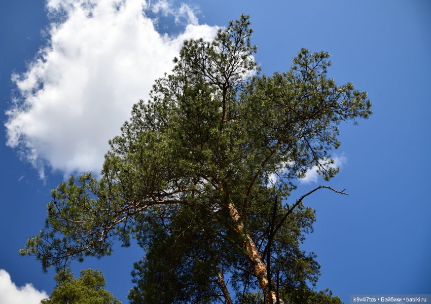 Лиловый Сон — Куклы Irrealdoll (Ирреалдолл): BJD (БЖД)