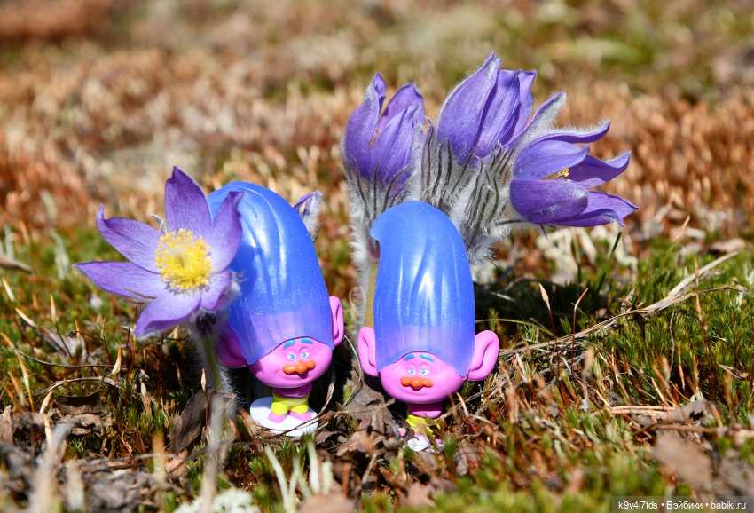 Лиловый Сон — Куклы Irrealdoll (Ирреалдолл): BJD (БЖД) (фото 8)