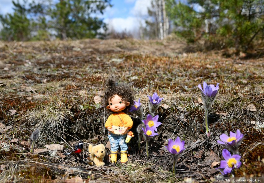 Лиловый Сон — Куклы Irrealdoll (Ирреалдолл): BJD (БЖД)