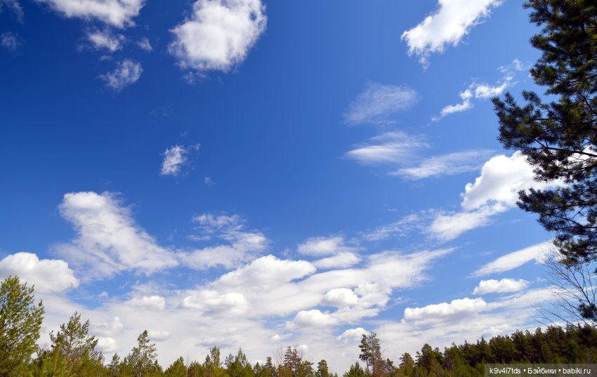 Лиловый Сон — Куклы Irrealdoll (Ирреалдолл): BJD (БЖД)