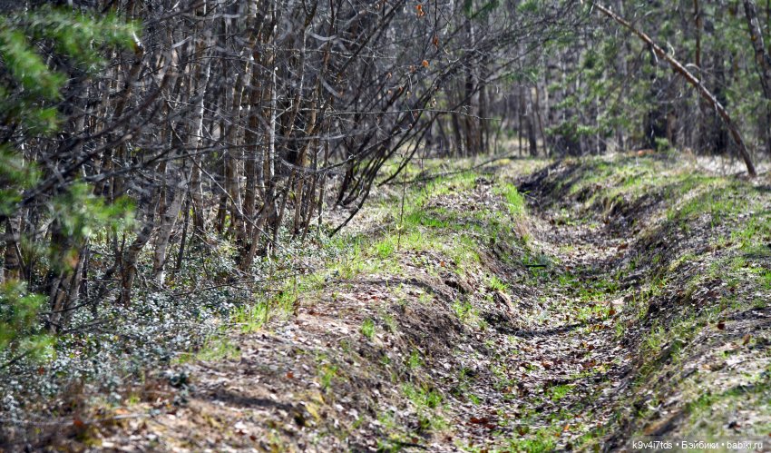 Лиловый Сон — Куклы Irrealdoll (Ирреалдолл): BJD (БЖД)