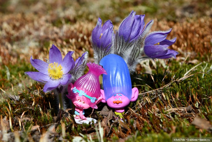 Лиловый Сон — Куклы Irrealdoll (Ирреалдолл): BJD (БЖД) (фото 9)