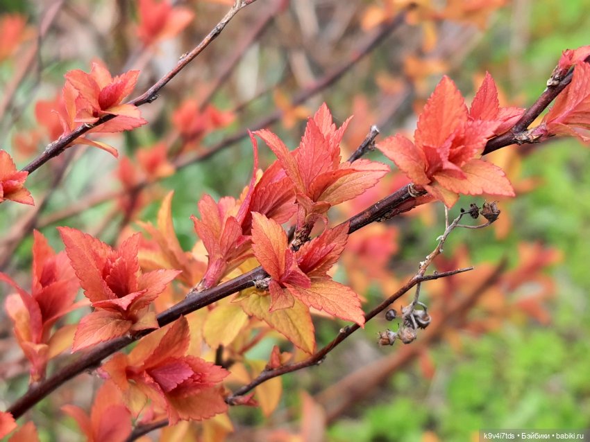 В Тверь пришла Весна — Туризм и путешествия: фотоотчеты из поездок