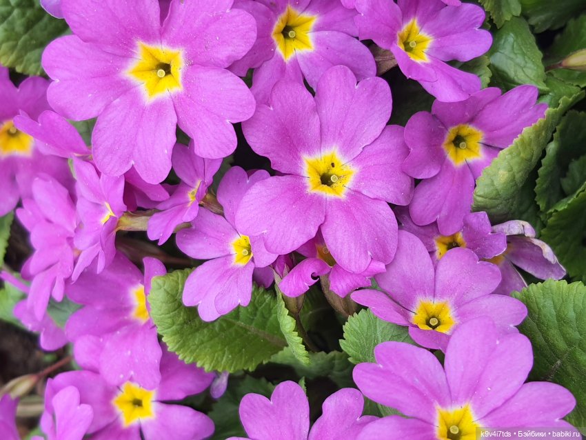 В Тверь пришла Весна — Туризм и путешествия: фотоотчеты из поездок