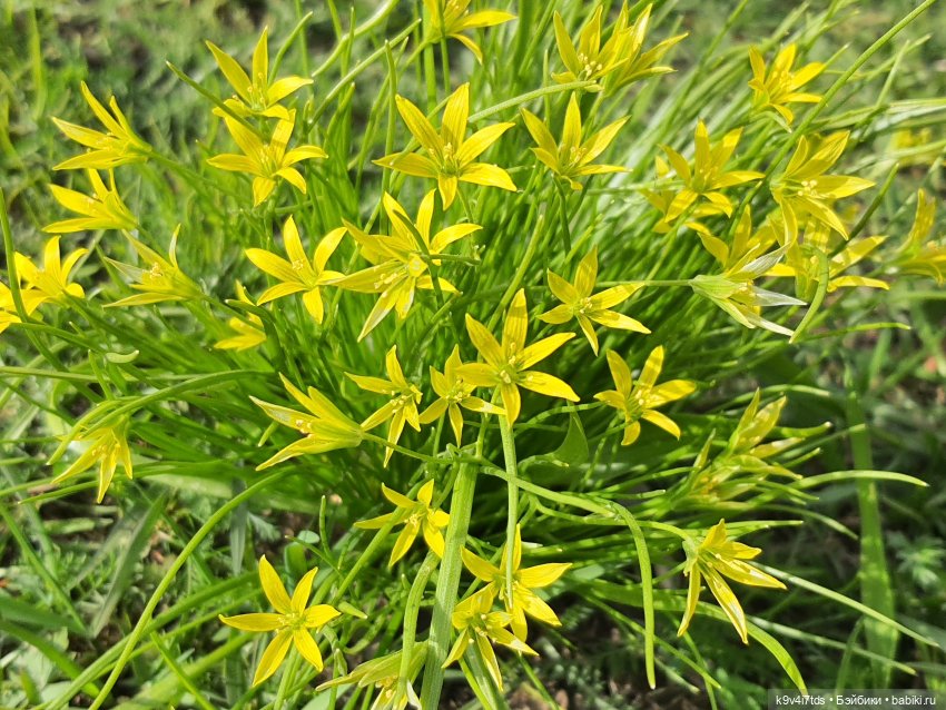 В Тверь пришла Весна — Туризм и путешествия: фотоотчеты из поездок