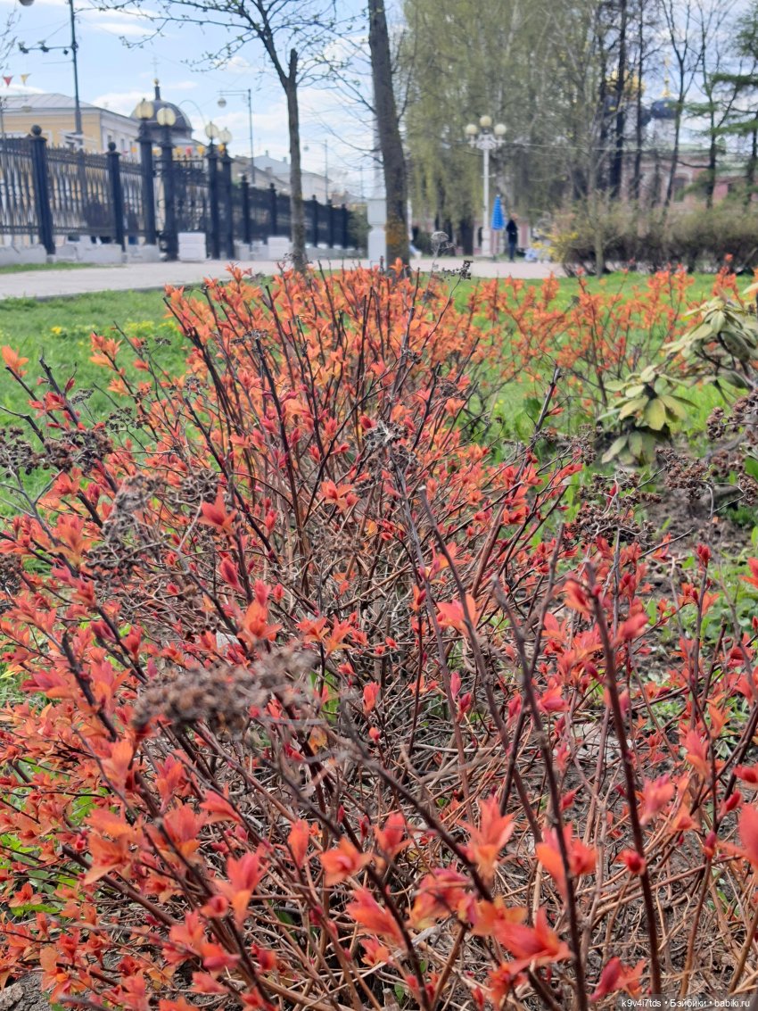 В Тверь пришла Весна — Туризм и путешествия: фотоотчеты из поездок