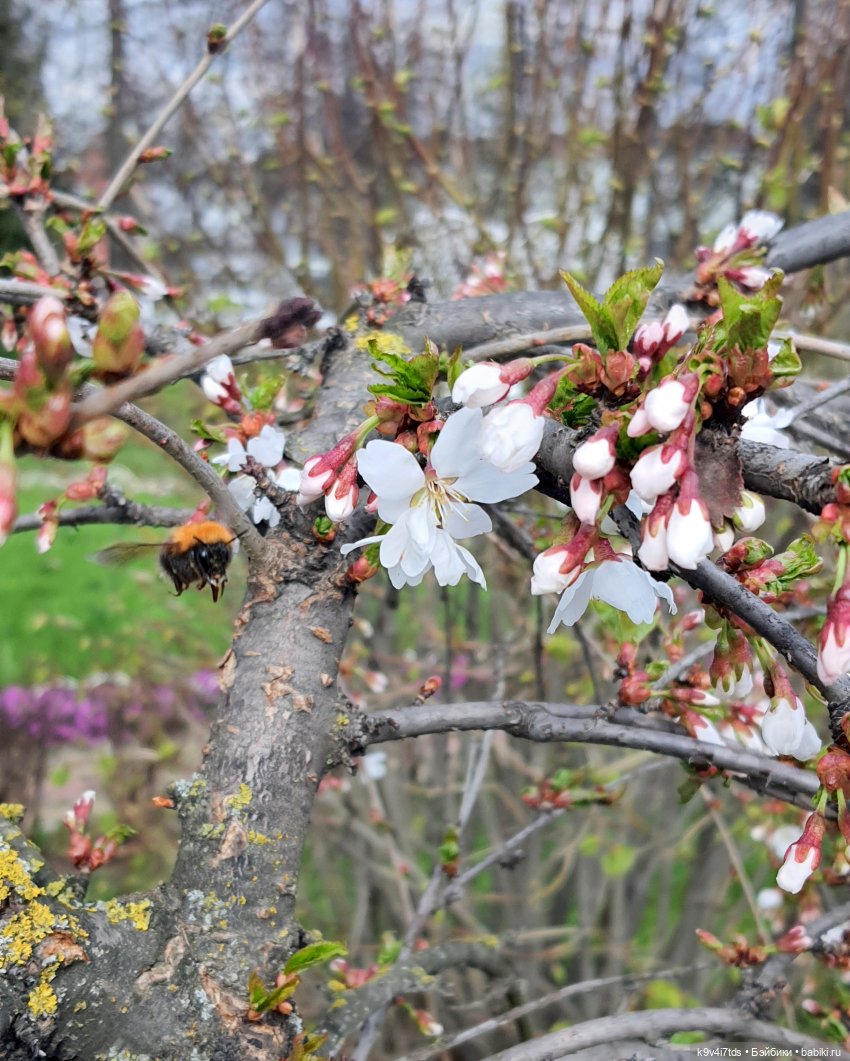 В Тверь пришла Весна — Туризм и путешествия: фотоотчеты из поездок