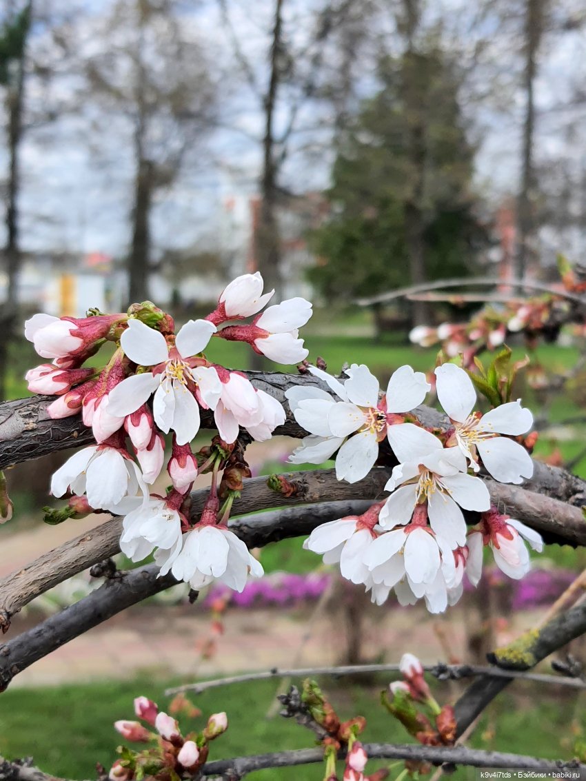 В Тверь пришла Весна — Туризм и путешествия: фотоотчеты из поездок