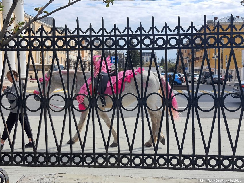 В Тверь пришла Весна — Туризм и путешествия: фотоотчеты из поездок