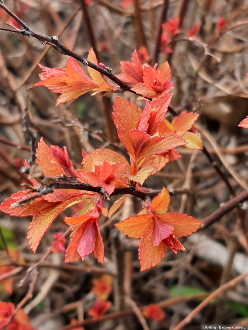 В Тверь пришла Весна — Туризм и путешествия: фотоотчеты из поездок