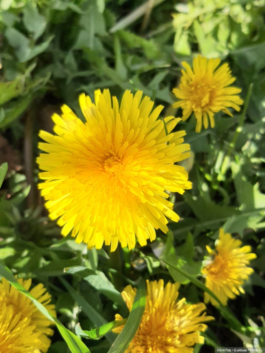 В Тверь пришла Весна — Туризм и путешествия: фотоотчеты из поездок