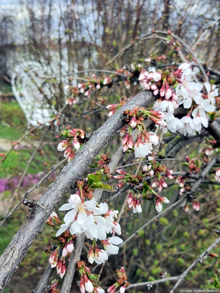 В Тверь пришла Весна — Туризм и путешествия: фотоотчеты из поездок
