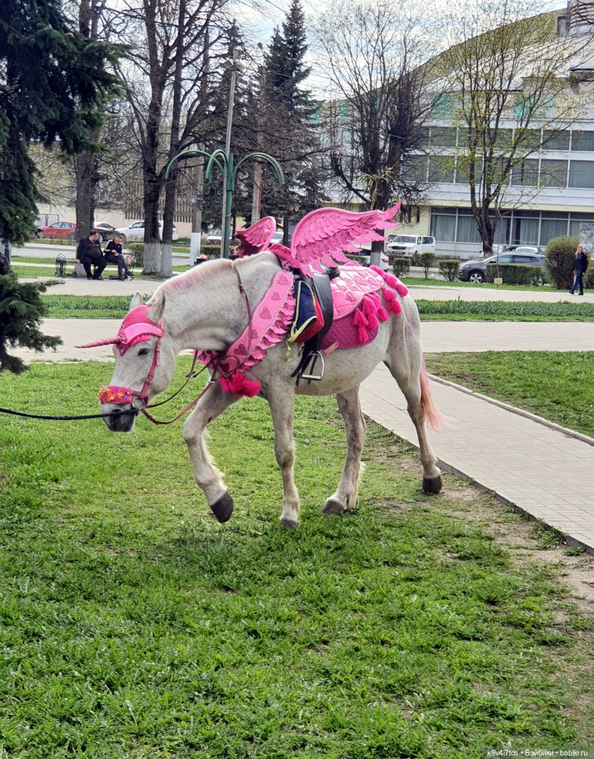 В Тверь пришла Весна — Туризм и путешествия: фотоотчеты из поездок (фото 10)