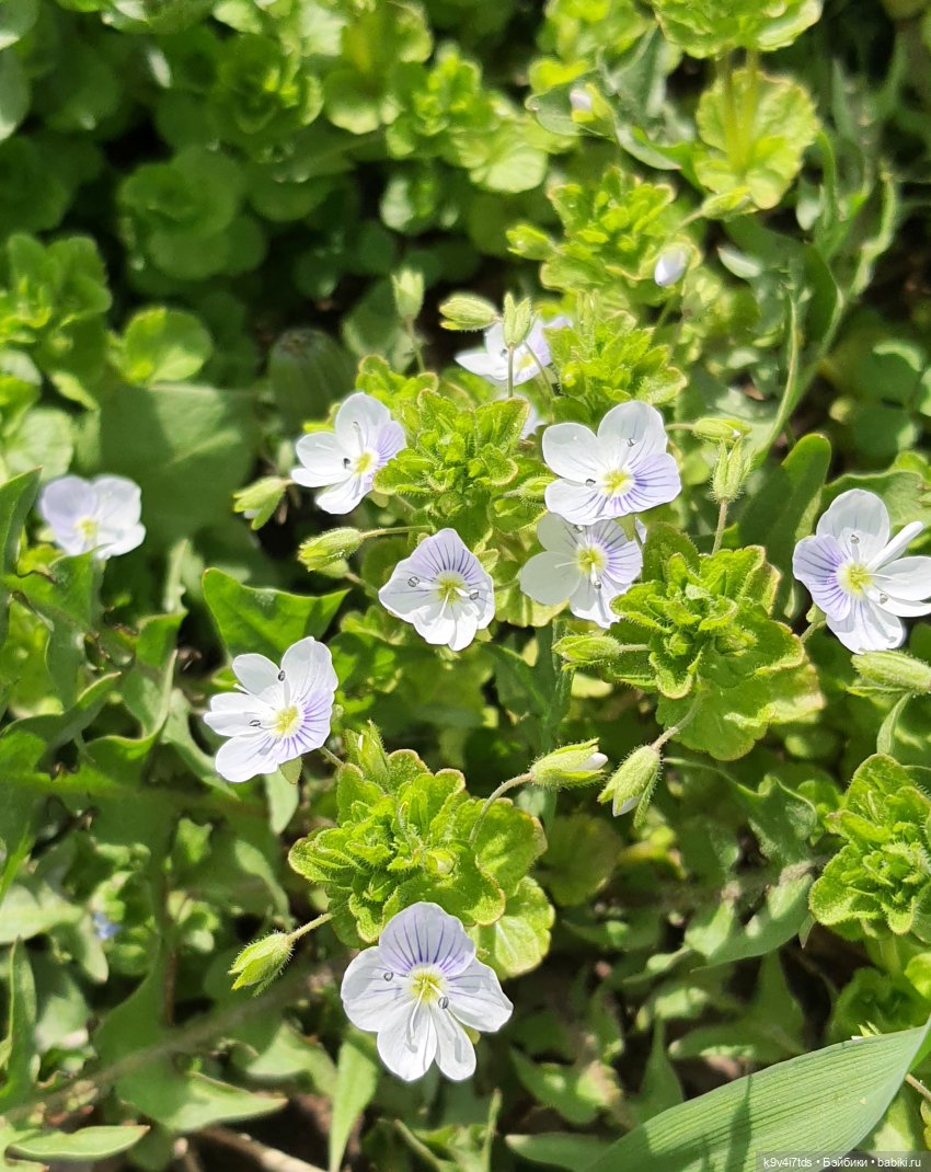 В Тверь пришла Весна — Туризм и путешествия: фотоотчеты из поездок