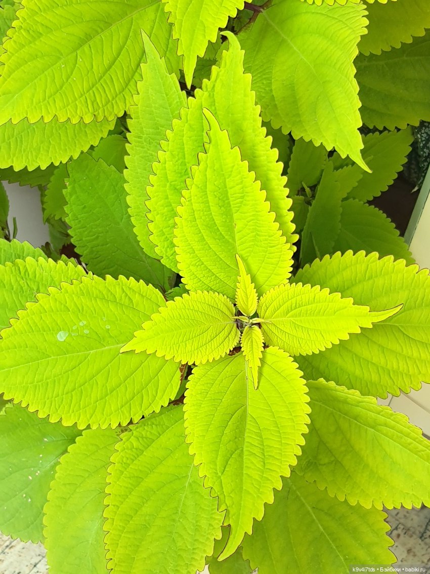 В Тверь пришла Весна — Туризм и путешествия: фотоотчеты из поездок