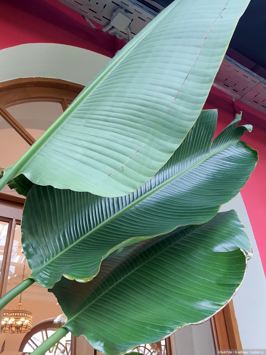 В Тверь пришла Весна — Туризм и путешествия: фотоотчеты из поездок