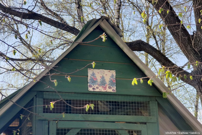 В Тверь пришла Весна — Туризм и путешествия: фотоотчеты из поездок