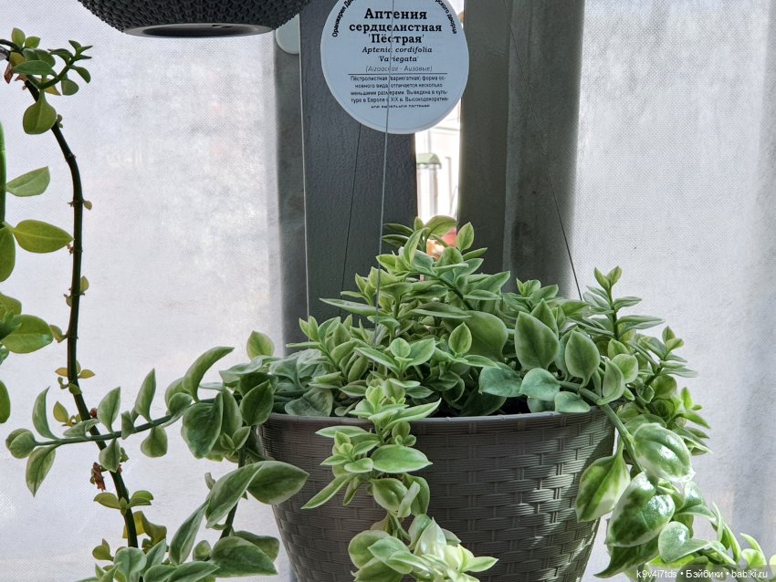 В Тверь пришла Весна — Туризм и путешествия: фотоотчеты из поездок