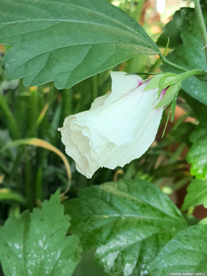 В Тверь пришла Весна — Туризм и путешествия: фотоотчеты из поездок